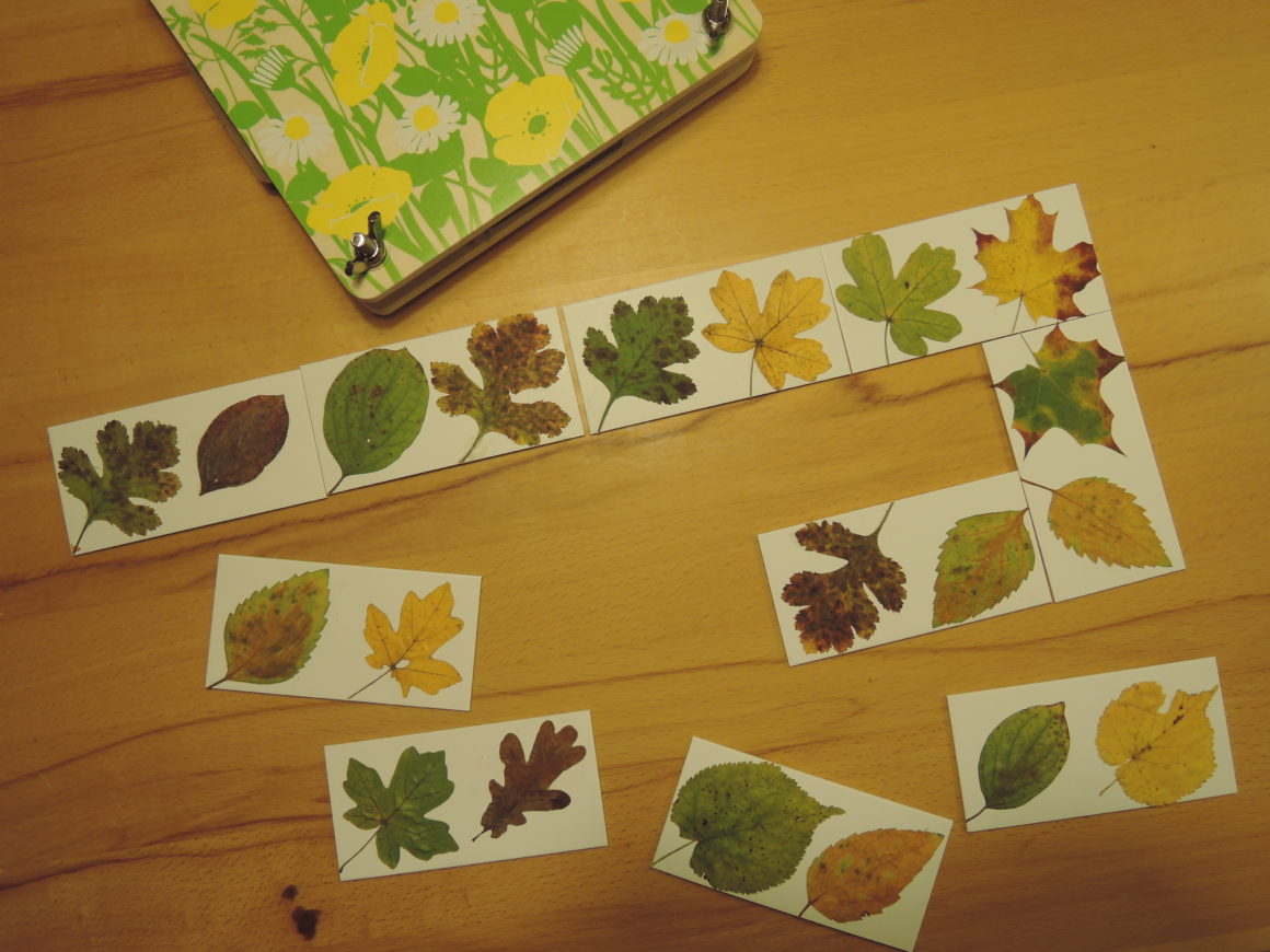 Bastelbeitrag: Blätterdomino mit echten Blättern