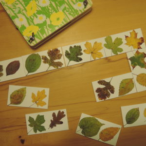 Bastelbeitrag: Blätterdomino mit echten Blättern